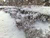 Heavy snow 20091110